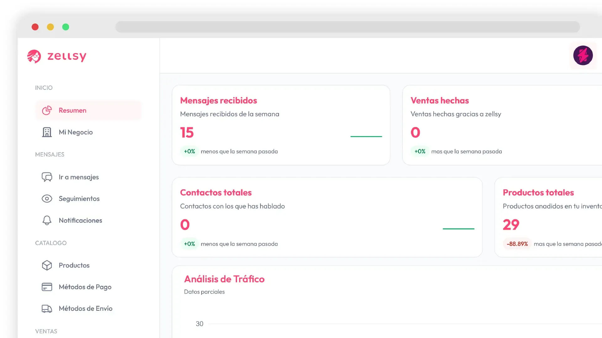 Vista previa del dashboard de Zellsy
