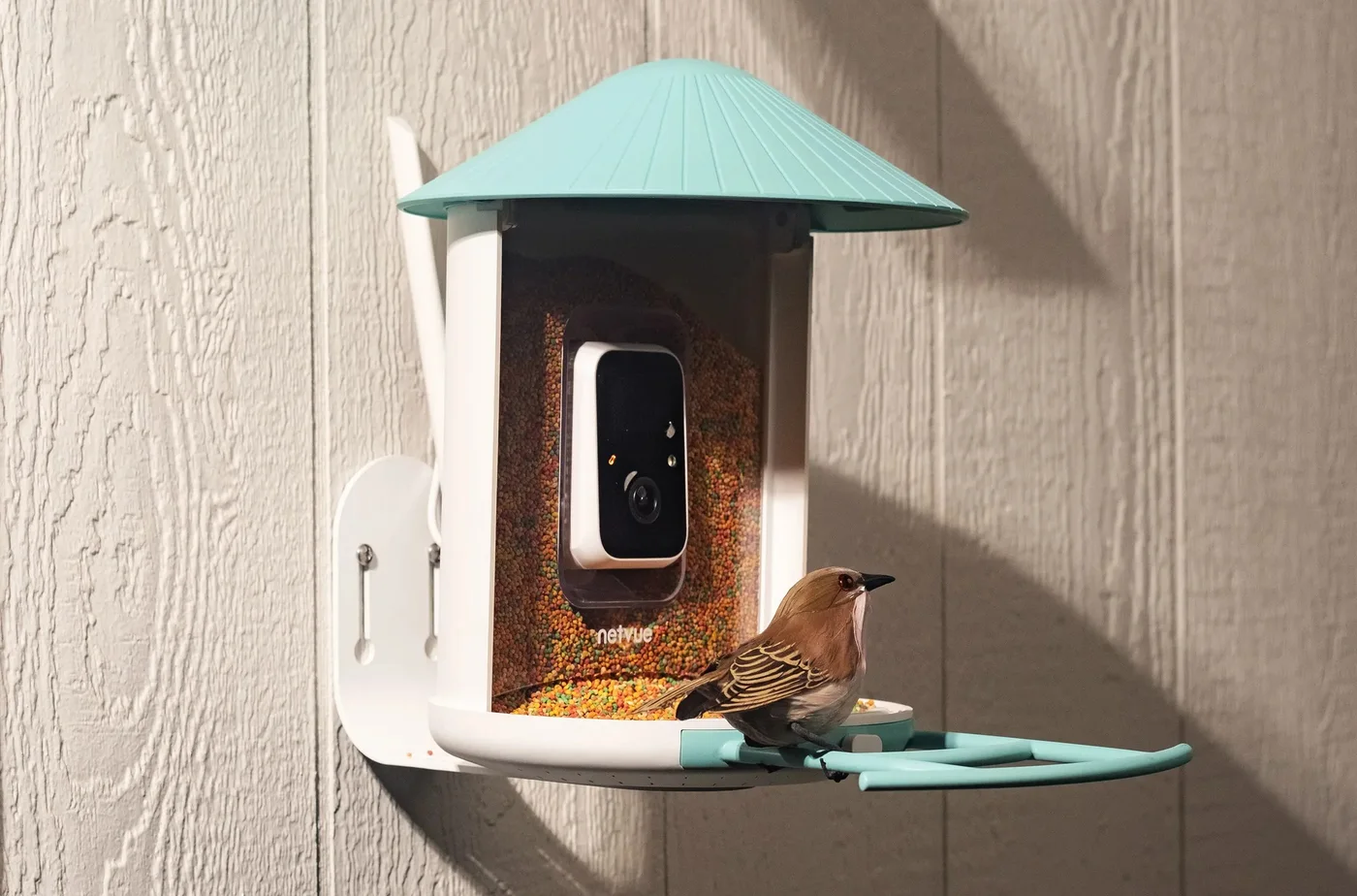 Comederos inteligentes con IA: La tecnología llega a la observación de aves