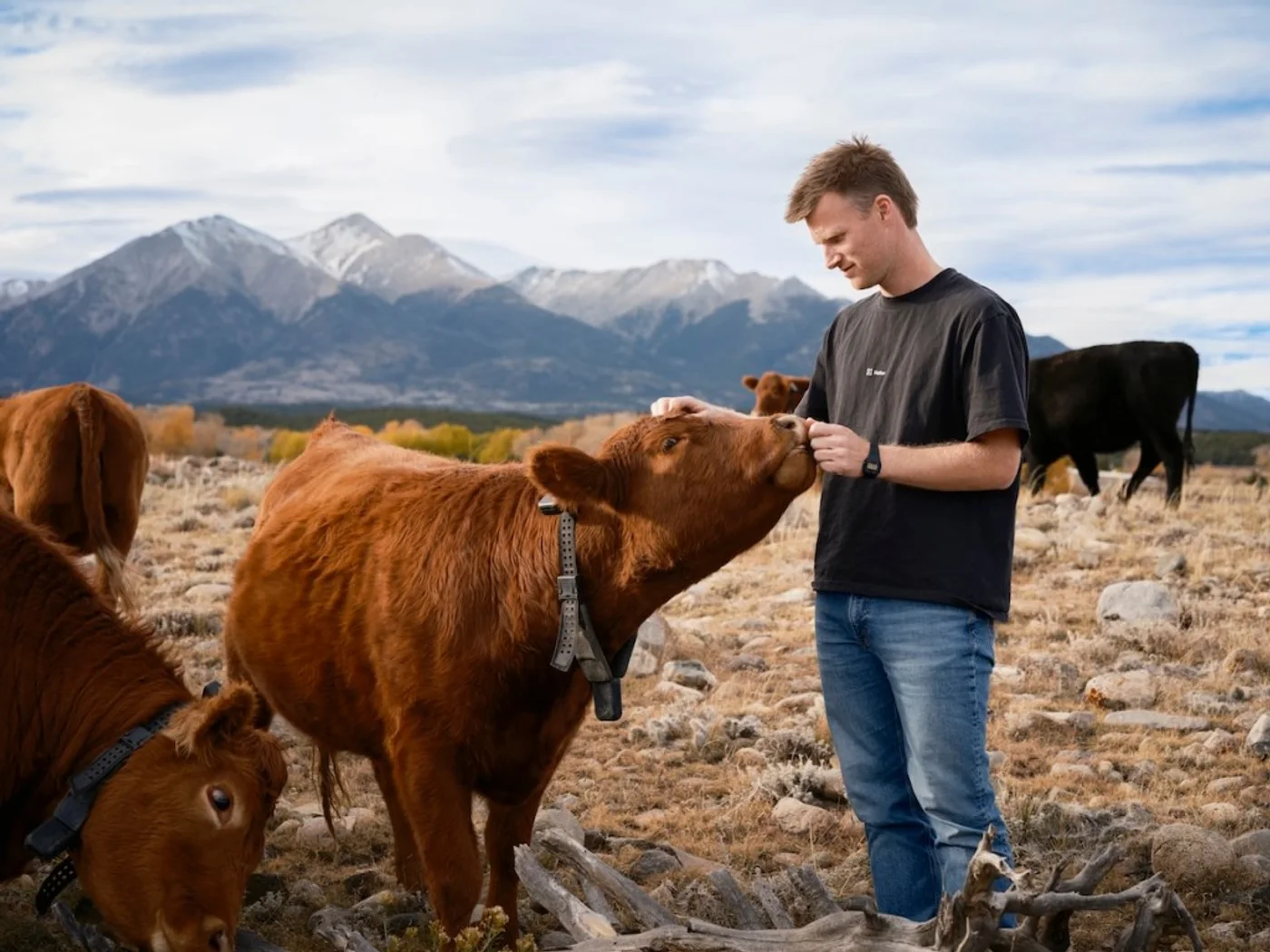 La apuesta de Peter Thiel en collares solares para ganado: cómo la tecnología está revolucionando la agricultura